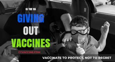 VA Vaccine Rollout: Separating Fact from Fiction