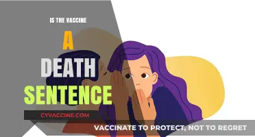 Unraveling Misinformation: The Truth About Vaccine Safety