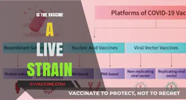 Debunking Myths: The Truth About Live Strain Vaccines