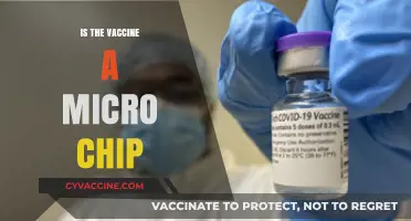 Debunking Myths: The Truth About COVID-19 Vaccines and Microchips