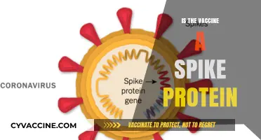 Decoding the Vaccine: Understanding Spike Proteins and Their Role