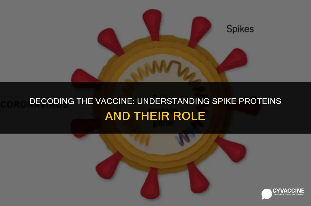 is the vaccine a spike protein