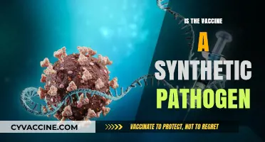 Exploring the Myth: Is the Vaccine a Synthetic Pathogen?