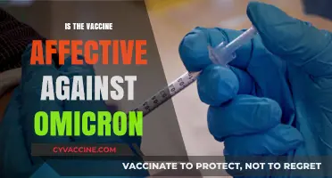 Combatting Omicron: The Effectiveness of Current Vaccines Explained