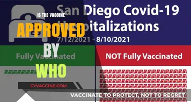 WHO's Stamp of Approval: The Global Vaccine Endorsement Process