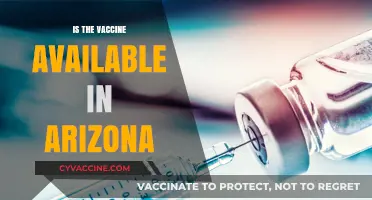 Arizona's COVID-19 Vaccine Rollout: What You Need to Know