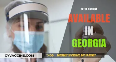 Georgia's COVID-19 Vaccine Rollout: Availability and Access Update