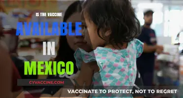Vaccine Availability in Mexico: A Comprehensive Guide