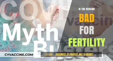 Exploring the Myths: Vaccine Safety and Fertility Concerns
