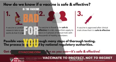 Exploring Vaccine Safety: Separating Facts from Misinformation
