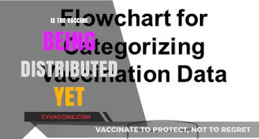 Vaccine Rollout: Current Status and Distribution Timeline