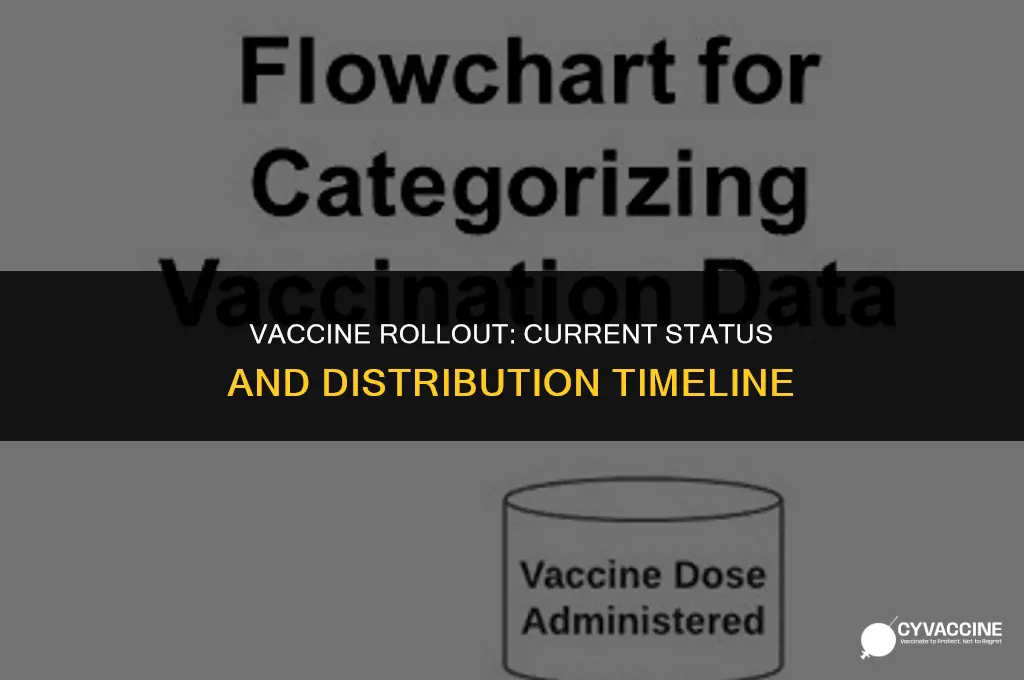 is the vaccine being distributed yet
