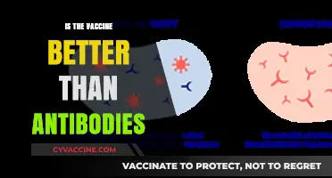 Vaccine vs. Antibodies: Which Offers Better Protection?