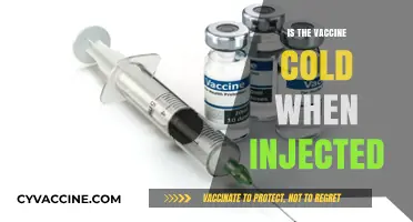 The Chilly Truth: What to Expect from Your Vaccine Injection