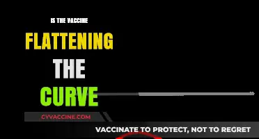 Is the Vaccine Flattening the Curve? A Data-Driven Analysis