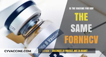 HBV vs HCV Vaccines: Are They the Same or Different?