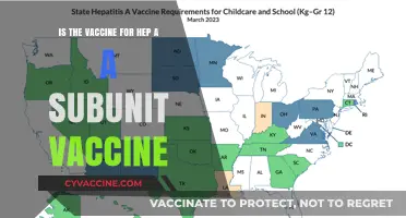 Is the Hepatitis A Vaccine a Subunit Vaccine? Exploring the Facts