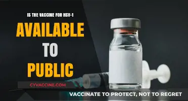 HSV-1 Vaccine: Public Availability and Current Developments Explained