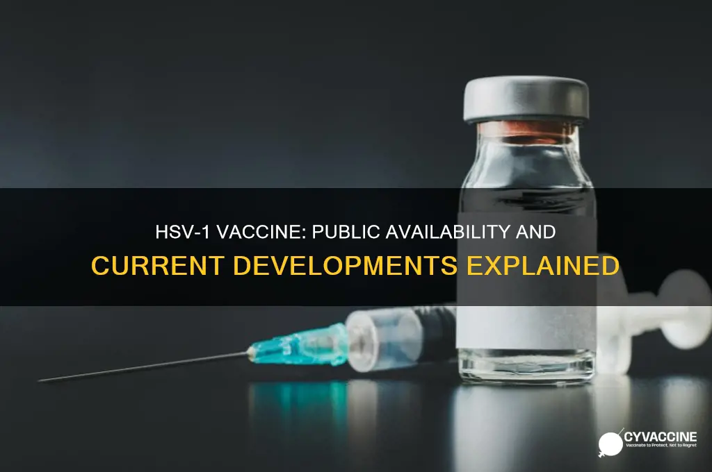 is the vaccine for hsv-1 available to public