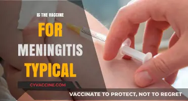 Understanding Meningitis Vaccines: Are They Really Typical?