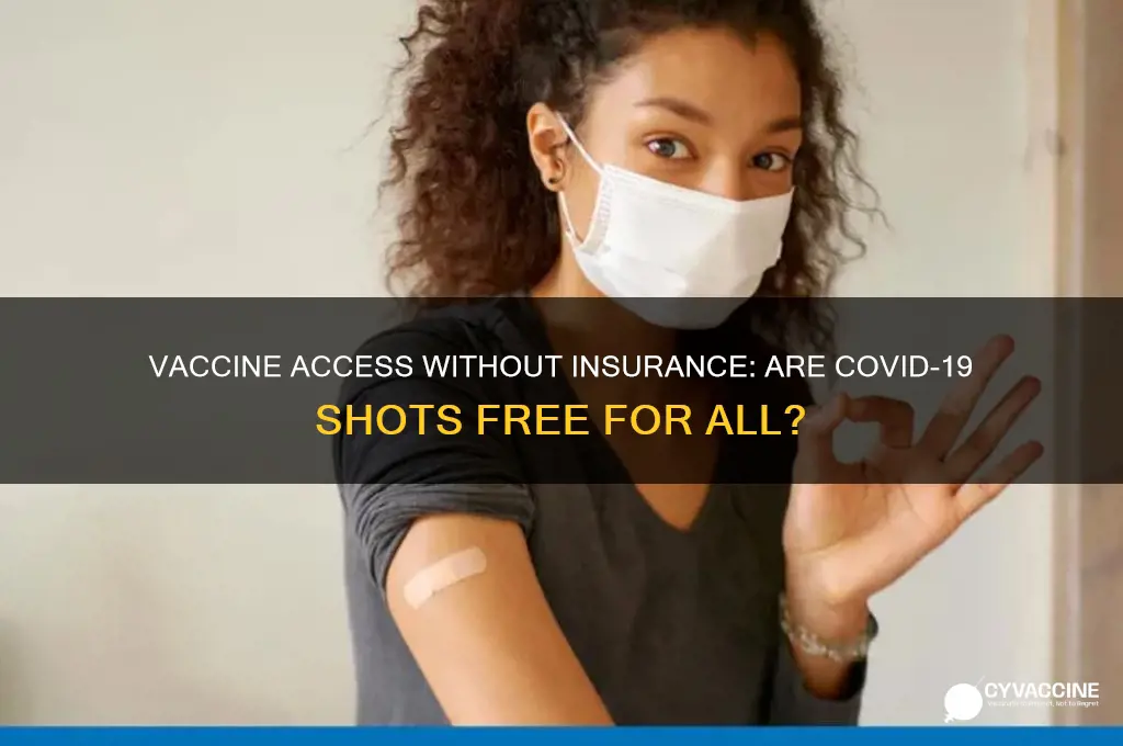 is the vaccine free if you don