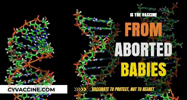 Unraveling Misinformation: The Truth About Vaccines and Fetal Cells