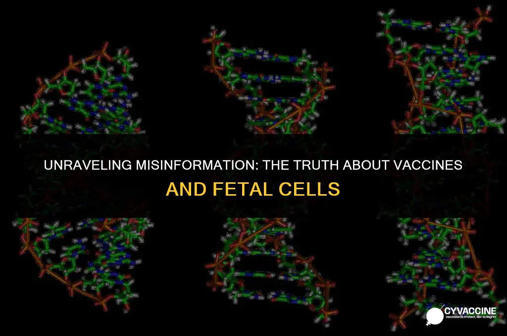is the vaccine from aborted babies