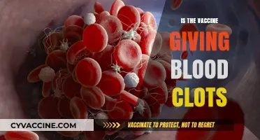 Exploring the Truth: Vaccine Safety and Blood Clot Concerns