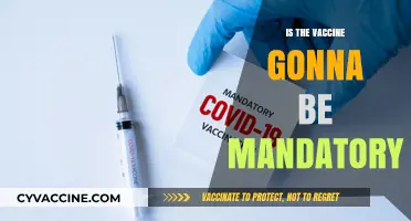 Will COVID-19 Vaccines Become Mandatory? Exploring the Possibilities