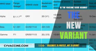 Vaccine Efficacy Against New Variants: What You Need to Know
