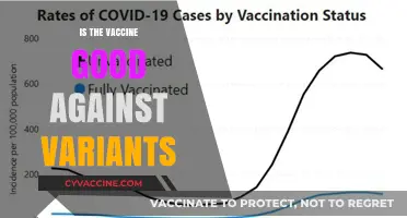Combatting COVID-19 Variants: The Vaccine's Efficacy Explained