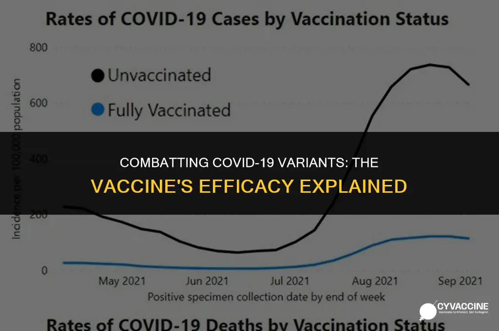 is the vaccine good against variants