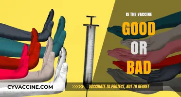 Exploring the Vaccine Debate: Weighing Benefits Against Concerns