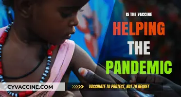 Vaccine Impact: A Comprehensive Look at Pandemic Progress