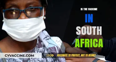 South Africa's Vaccine Rollout: Progress, Challenges, and Future Prospects