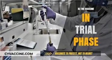 Exploring the Vaccine Trial Phase: What You Need to Know