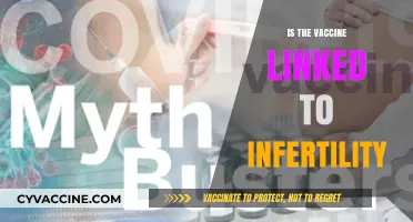Exploring the Myths: Vaccine Safety and Fertility Concerns