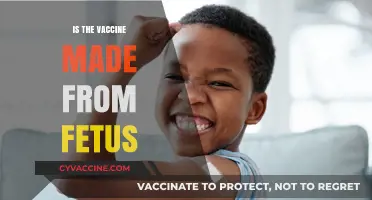 Unraveling Misinformation: The Truth About Vaccine Ingredients