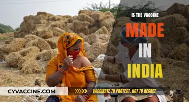 Exploring the Origins: Is the Vaccine Made in India?