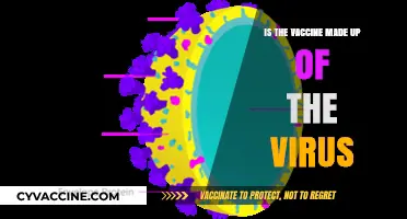 Are Vaccines Made from the Virus? Debunking Common Myths