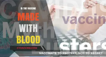 Unraveling Myths: The Truth About Blood in Vaccines