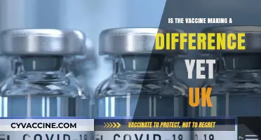 UK COVID-19 Vaccines: Are They Making a Difference Yet?