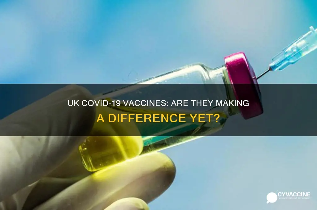 is the vaccine making a difference yet uk