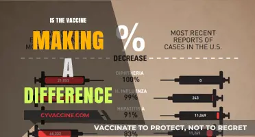 Vaccine Impact: A Data-Driven Look at Public Health Transformation