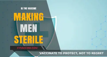 Exploring the Myths: Vaccine Safety and Male Fertility