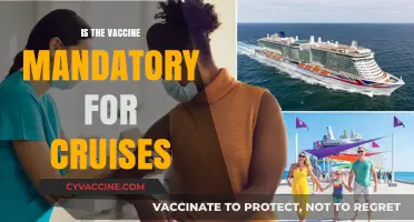 Cruise Vaccine Mandate: What You Need to Know Before Setting Sail