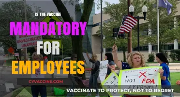 Navigating Vaccine Mandates in the Workplace: What Employees Need to Know
