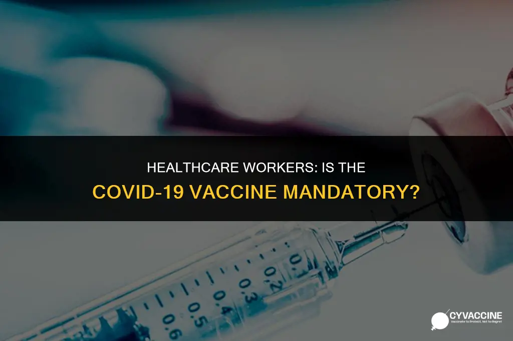 is the vaccine mandatory for healthcare