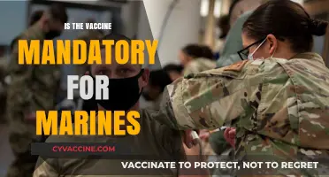Vaccine Mandate for Marines: What You Need to Know
