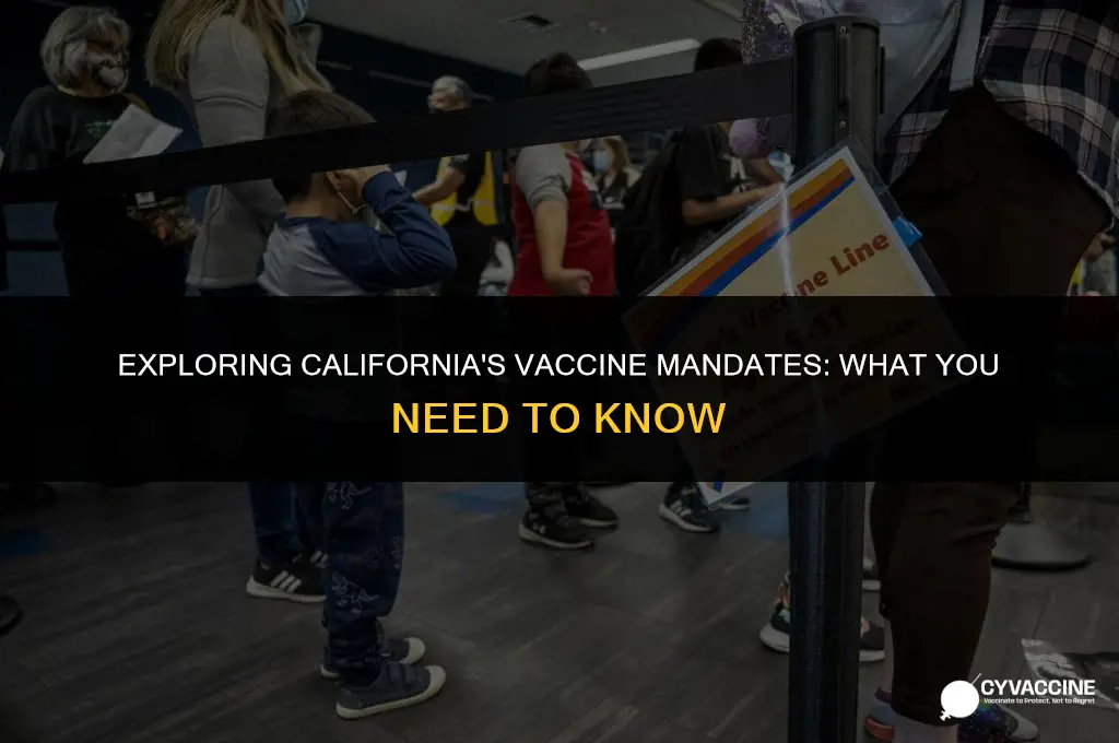 is the vaccine mandatory in ca